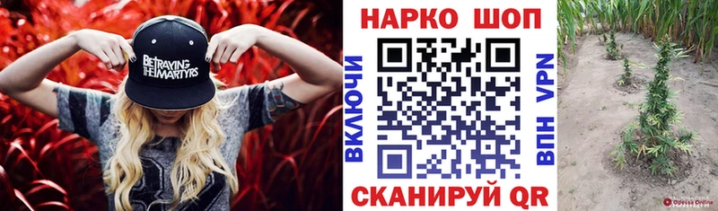 Купить закладку Новозыбков Конопля А ПВП Мефедрон Метамфетамин Кокаин